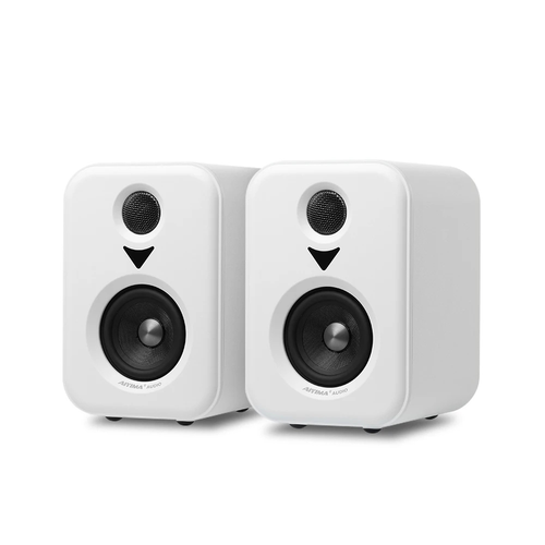 Enceinte S400